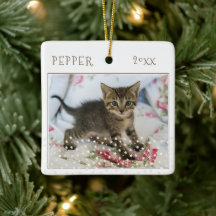 かわいい猫ペット2枚の写真星柄クリスマス