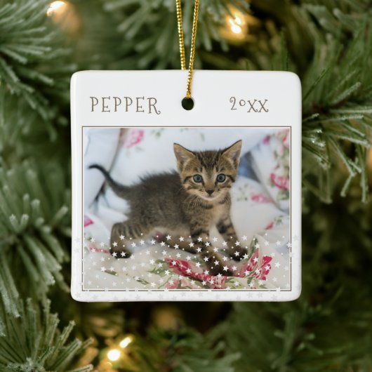 かわいい猫ペット2枚の写真星柄クリスマス セラミックオーナメント (ツリー)