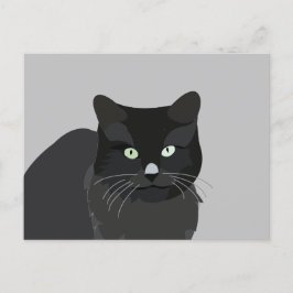 かわいい猫ペット ポストカード