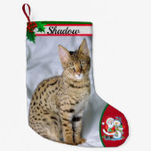 かわいい猫写真クリスマスストッキング名 スモールクリスマスストッキング (正面)