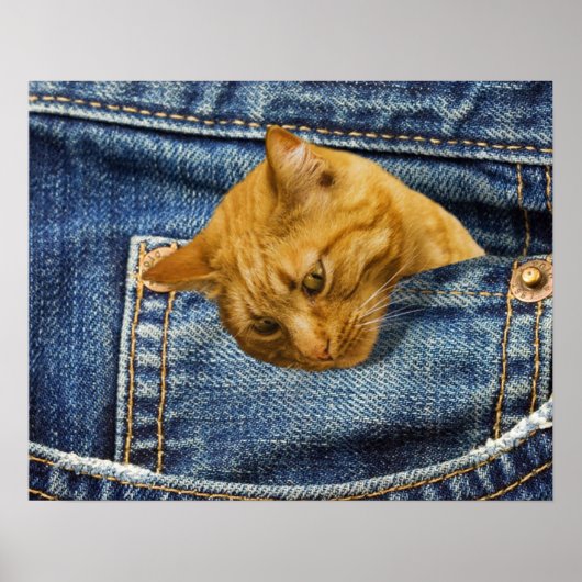 かわいい猫好き記念ギフト ポスター (正面)