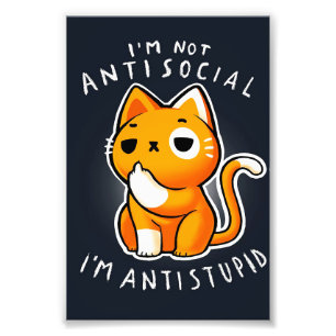 かわいい猫子猫ギフト 猫誕生日 フォトプリント           