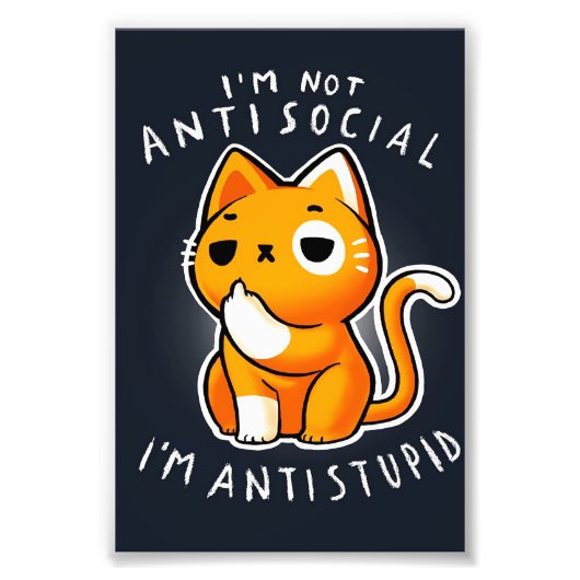 かわいい猫子猫ギフト|猫誕生日 フォトプリント            (正面)