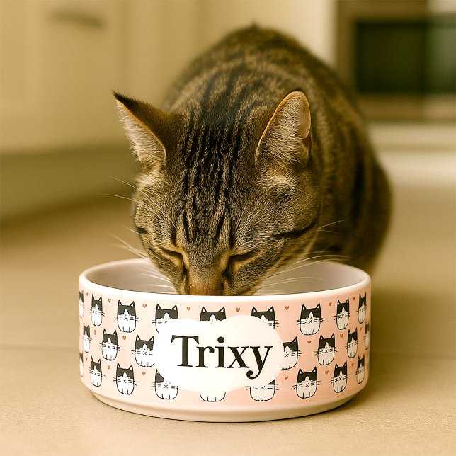 かわいい猫専用のオーダーメイドのボウル ボウル (Personalised  cat bowl with illustrations of cats and editable name)
