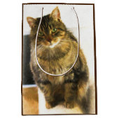 かわいい猫抱き枕 ミディアムペーパーバッグ (正面)