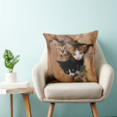 かわいい猫猫顔3匹おもしろいの写真 – クッション (椅子)