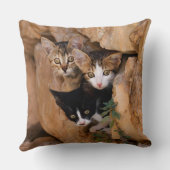 かわいい猫猫顔3匹おもしろいの写真 – クッション (裏面)