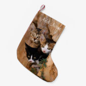 かわいい猫猫顔3匹おもしろいの写真 – スモールクリスマスストッキング (正面 (吊り時))