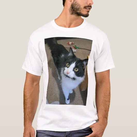かわいい猫男性のtシャツ tシャツ (正面)