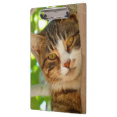 かわいい猫登山ア・ツリー クリップボード (左)