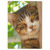 かわいい猫登山ア・ツリー クリップボード (裏面)