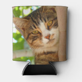 かわいい猫登山ア・ツリー 缶クーラー (正面)