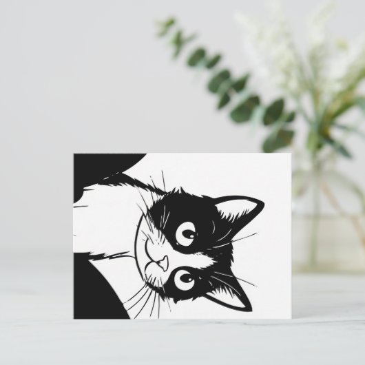 かわいい猫白黒はがき ポストカード (スタンド正面)
