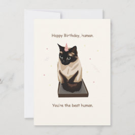 かわいい猫誕生日カード サンキューカード