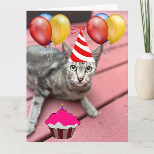 かわいい猫誕生日ビッグあいさつカード カード (正面)