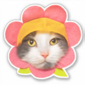 かわいい猫顔インフラワーハット シール (正面)