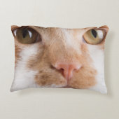 かわいい猫顔オン アクセントクッション (裏面)