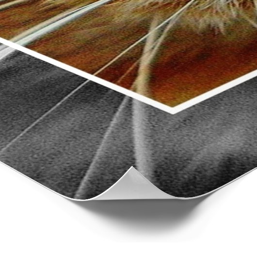 かわいい猫顔コラージュのポスター ポスター (角)