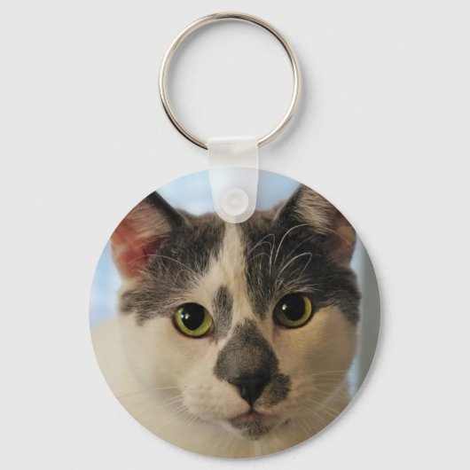 かわいい猫 キーホルダー (正面)