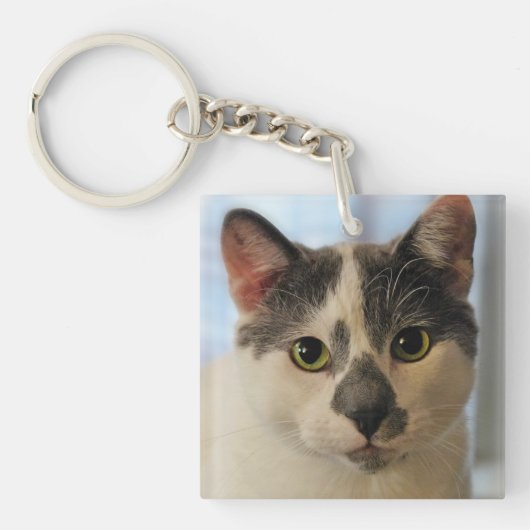 かわいい猫 キーホルダー (正面)