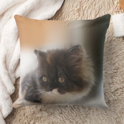 かわいい猫 クッション (ブランケット)