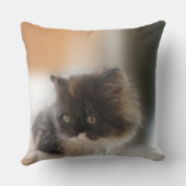 かわいい猫 クッション (裏面)