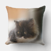 かわいい猫 クッション (正面)