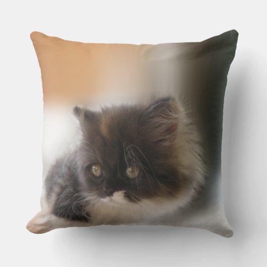 かわいい猫 クッション (正面)