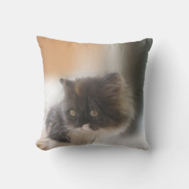 かわいい猫 クッション