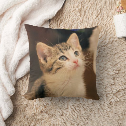 かわいい猫 クッション (ブランケット)