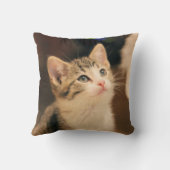 かわいい猫 クッション (裏面)