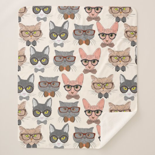 かわいい猫 シェルパブランケット (正面)