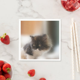 かわいい猫 スタンダードカクテルナプキン