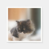 かわいい猫 スタンダードカクテルナプキン (正面)