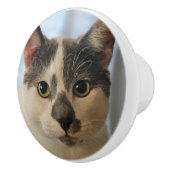 かわいい猫 セラミックノブ (右)