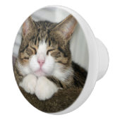 かわいい猫 セラミックノブ (右)