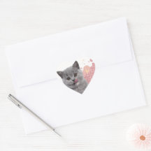 かわいい猫