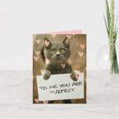 かわいい猫 & ハート あなたは完璧よ カード (正面)