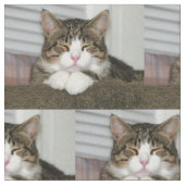 かわいい猫 ファブリック (クローズアップ)