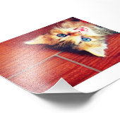 かわいい猫 フォトプリント            (角)