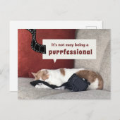 かわいい猫「プロの簡単じゃない」 ポストカード (正面/裏面)