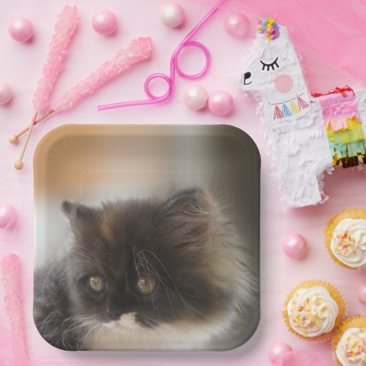 かわいい猫 ペーパープレート (パーティー)