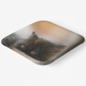 かわいい猫 ペーパープレート (傾斜あり)