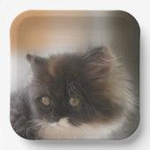 かわいい猫 ペーパープレート (正面)