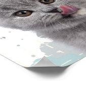かわいい猫 ポスター (角)