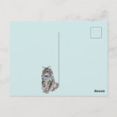 かわいい猫 ポストカード (裏面)