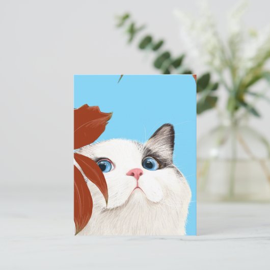 かわいい猫 ポストカード (スタンド正面)