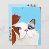 かわいい猫 ポストカード (正面/裏面)