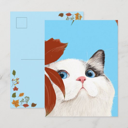 かわいい猫 ポストカード (正面/裏面)