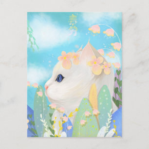 かわいい猫 ポストカード